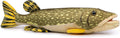 Simulation Northern Pike Stuffed Plush Toy 18.5in - Lifelike Hug Toy