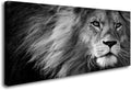 Baisuart-D0162 Canvas Prints Wall Art Grey Lion for Home Decor