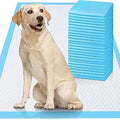 Dog Pee Pad Extra Large 30in x 36in 200 Count - Thick 6-Layer