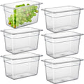 CURTA 6 Pack NSF 1/4 Size 6in Food Pans - Clear Polycarbonate