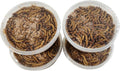 Giant Mealworms for Pets - Perfect Treat for Reptiles and Birds