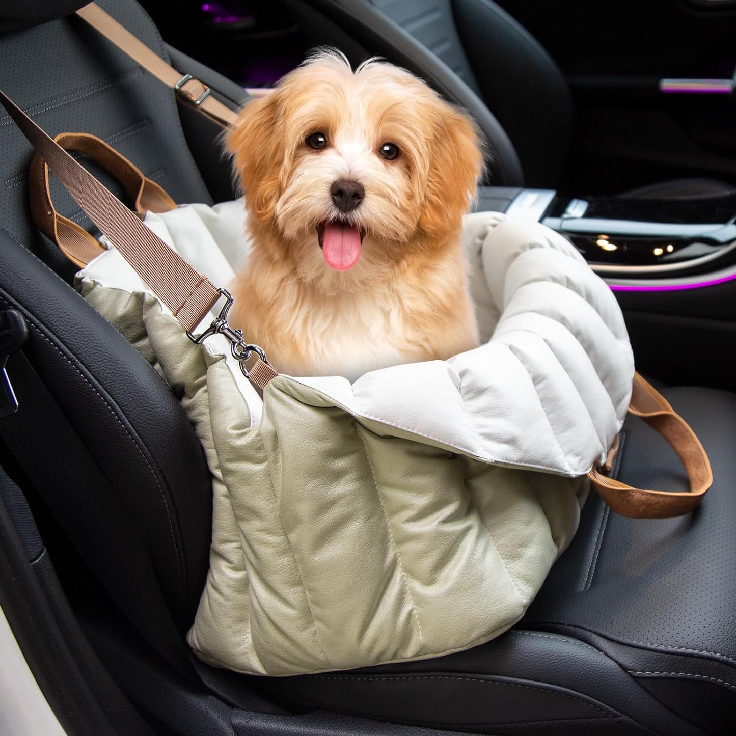 ClevaHome Small Dog Car Seat & Travel Carrier for Pets Up to 10lbs