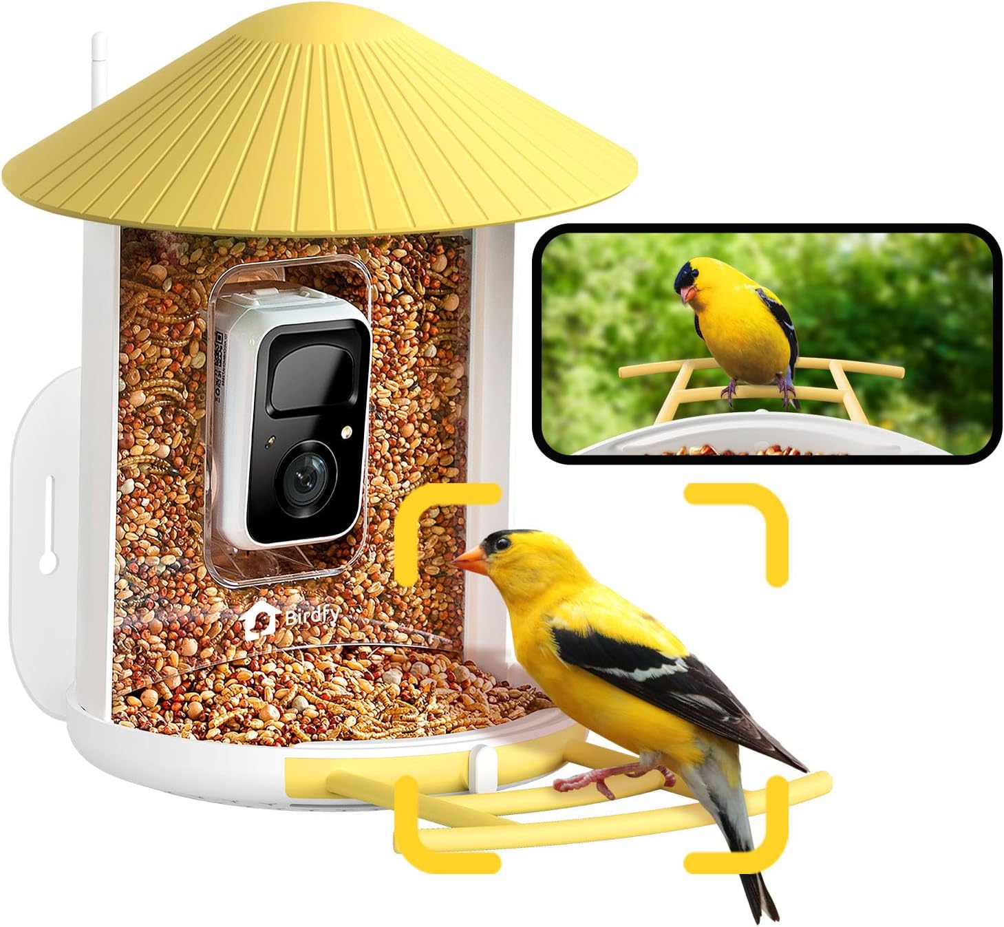 NETVUE AI Smart Bird Feeder with Camera for Birdwatching Fun