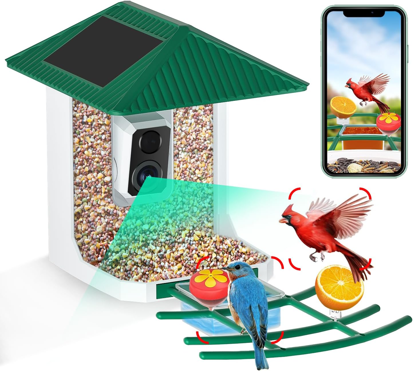 BEZOMIZ Smart Bird Feeder: AI ID Bird Species