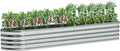 Galvanized Raised Garden Bed Metal Oval Planter 12x2x1.3 ft - Large