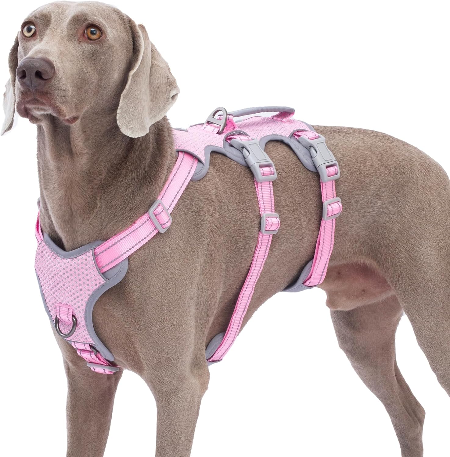 Escape Proof Dog Harness for Safe and Comfortable Walks