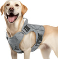 Medium Tactical Dog Harness Grey - No-Pull Molle Vest for Training