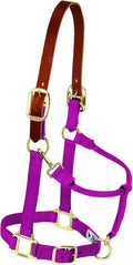 Breakaway Horse Halter with Supple Leather Crown - Durable Everyday
