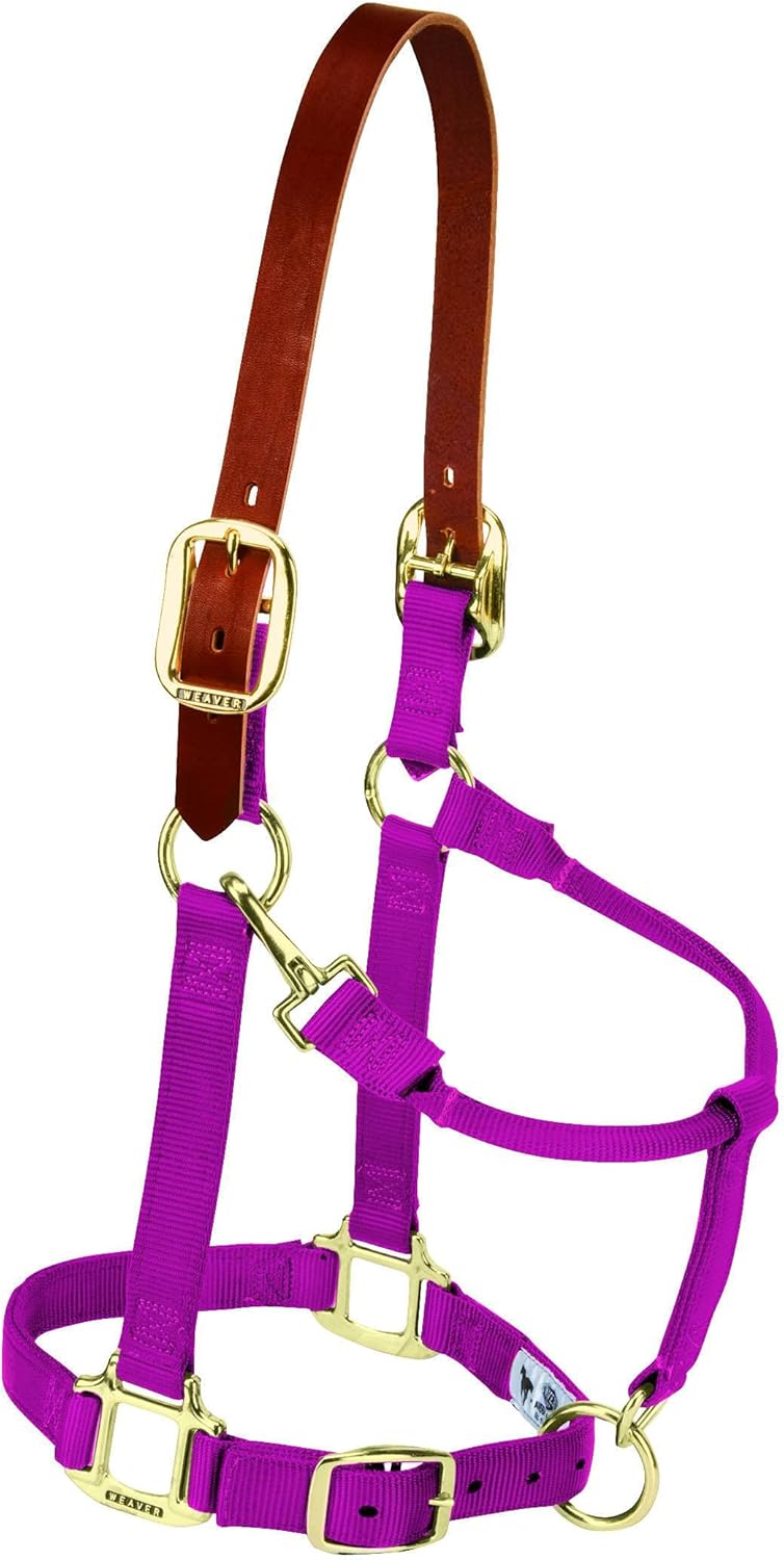 Breakaway Horse Halter with Supple Leather Crown for Horses