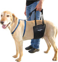 Dog Rear Support Sling Harness for Recovery and Mobility Aid