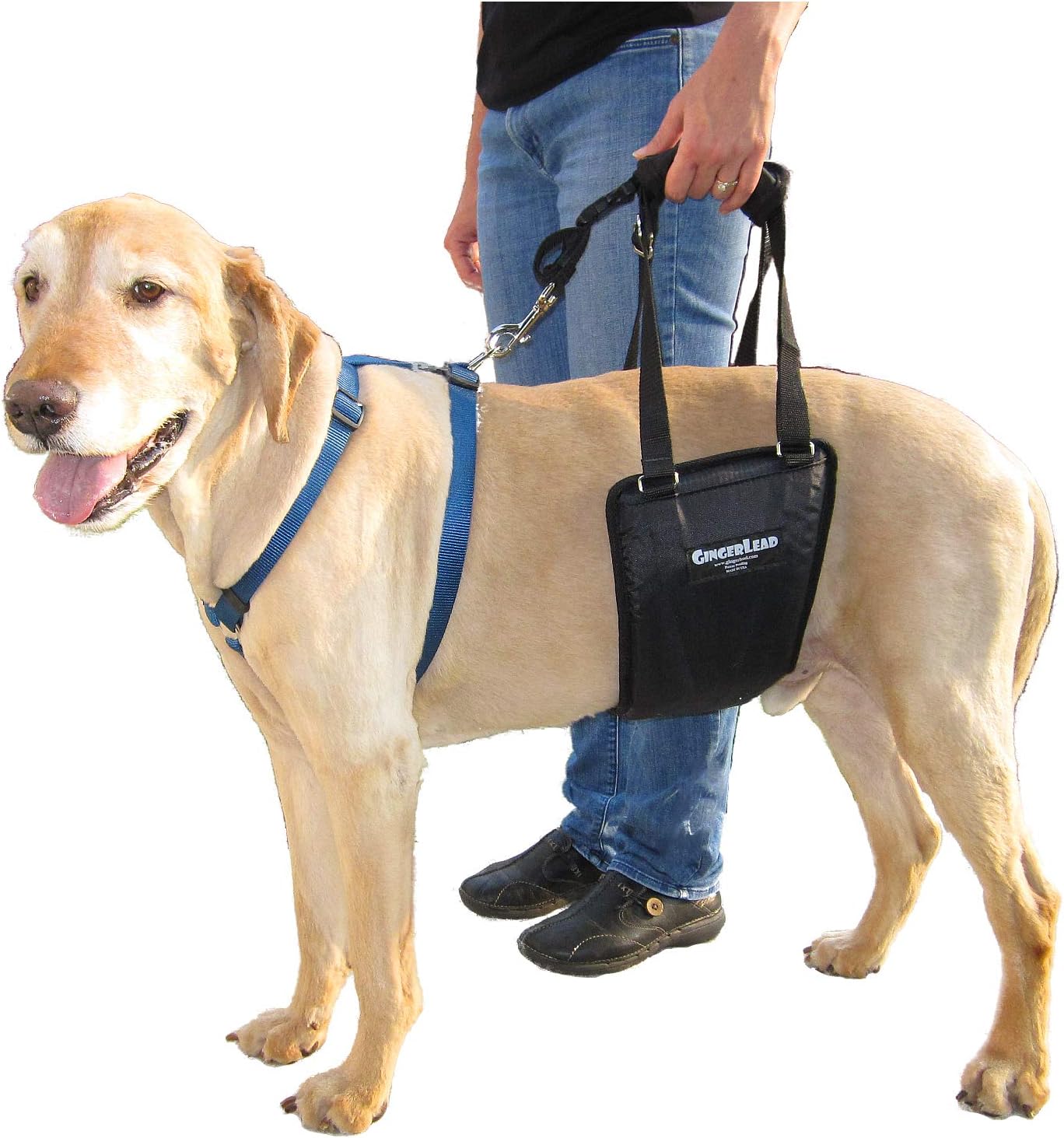 Dog Rear Support Sling Harness for Recovery and Mobility Aid