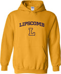 NCAA College Team Color Arch Logo Hoodie for Ultimate Comfort