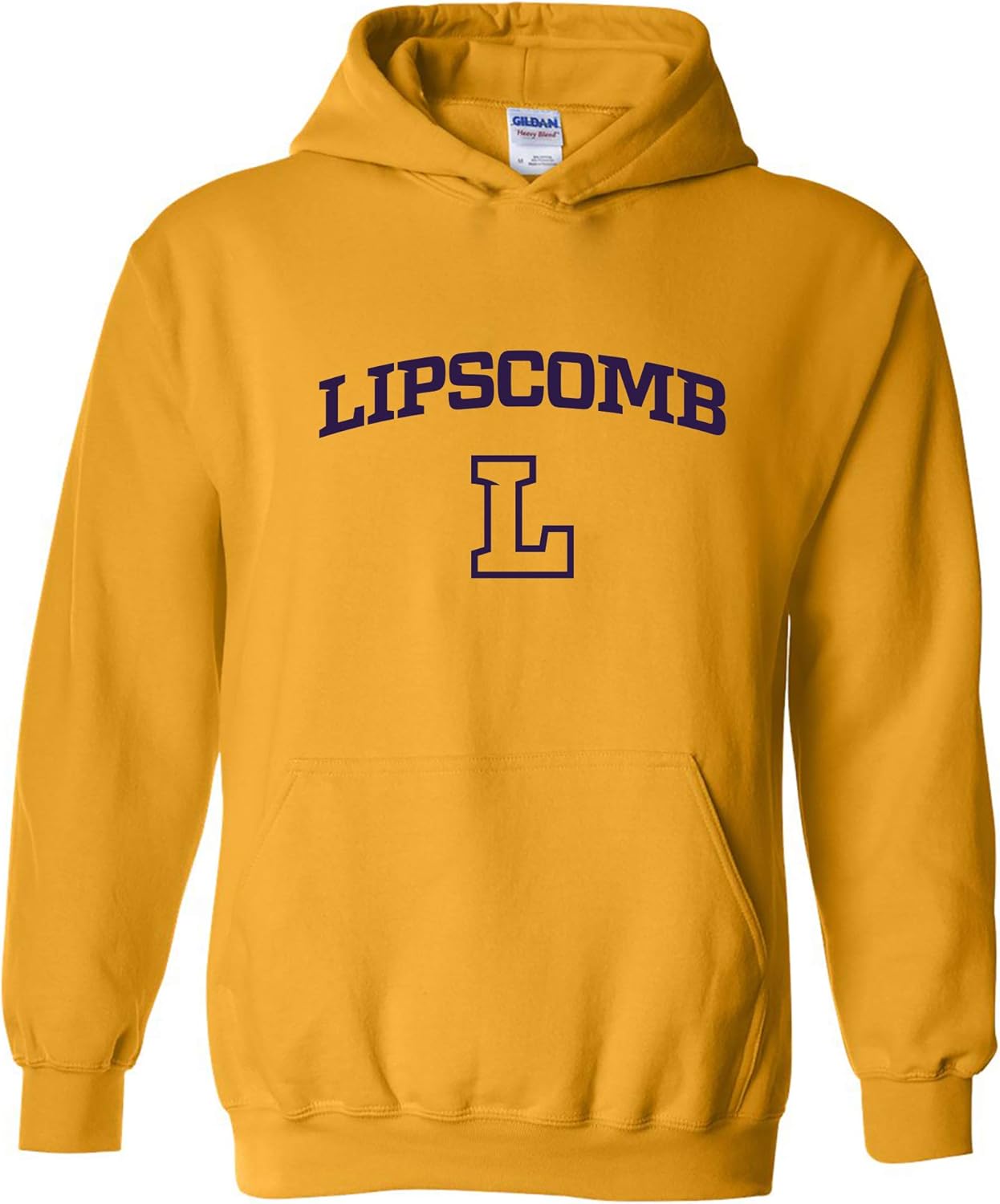 NCAA College Team Color Arch Logo Hoodie for Ultimate Comfort