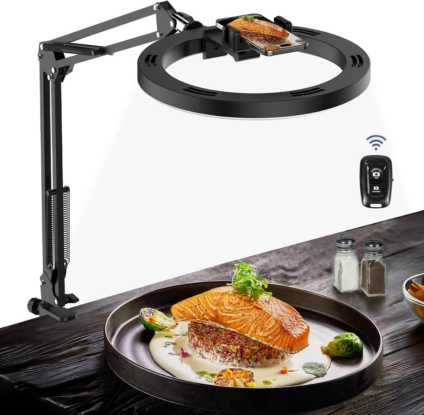 LUXSURE Overhead Camera Mount Kit - Ultimate Lighting Solution