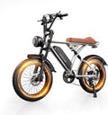 V60/V60 Pro Electric Bike 20 Fat Tire 1000W - Long Range Performance