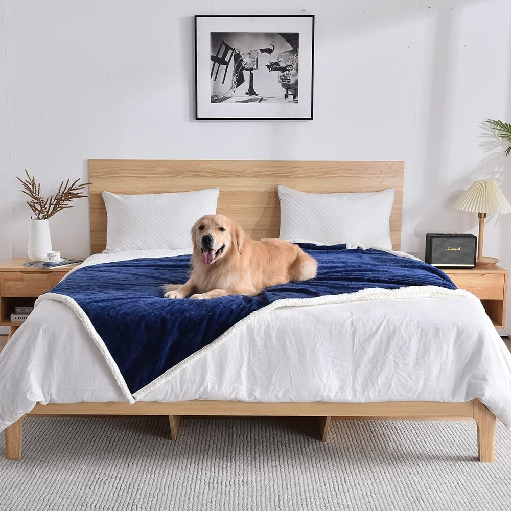 Qeils Dog Blankets for Large Dogs - Waterproof & Washable