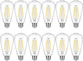 winsaLED 75 watt LED Bulbs 12 Pack - High Bright Daylight