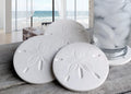 Sand Dollar Absorbent Drink Coasters - Beach Coasters 4pc