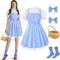 Halloween Costume Women - Storybook Character Princess Attire