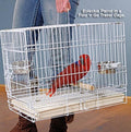 Durable Portable Metal Travel Parrot Bird Carrier Cage - Foldable