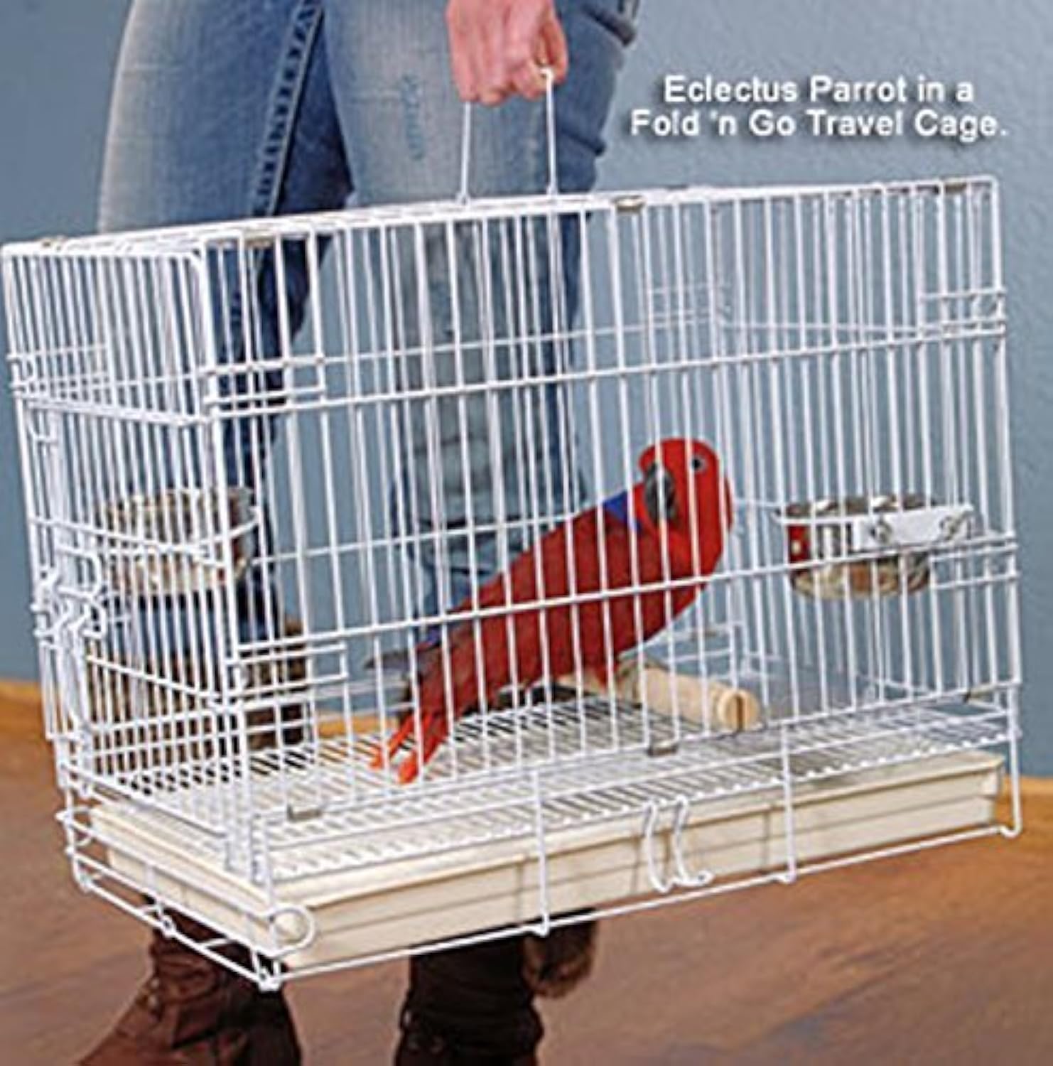 Durable Portable Metal Travel Parrot Bird Carrier Cage Solution