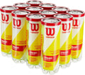 WILSON Championship Tennis Balls 12-Can Pack - Durable Playability