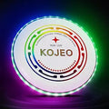Light Up Flying Disc - Glow in The Dark LED Frisbee for Fun