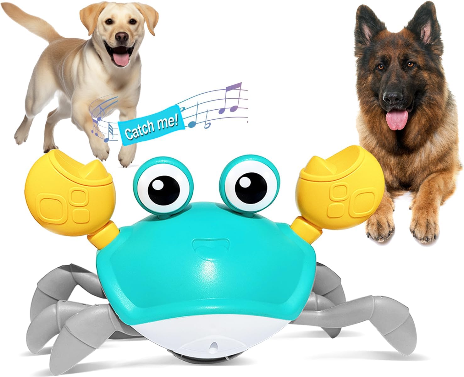 HONGID Interactive Crab Dog Toy - Music & Lights