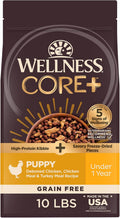 Wellness CORE+ Puppy Dry Dog Food with Freeze Dried Pieces