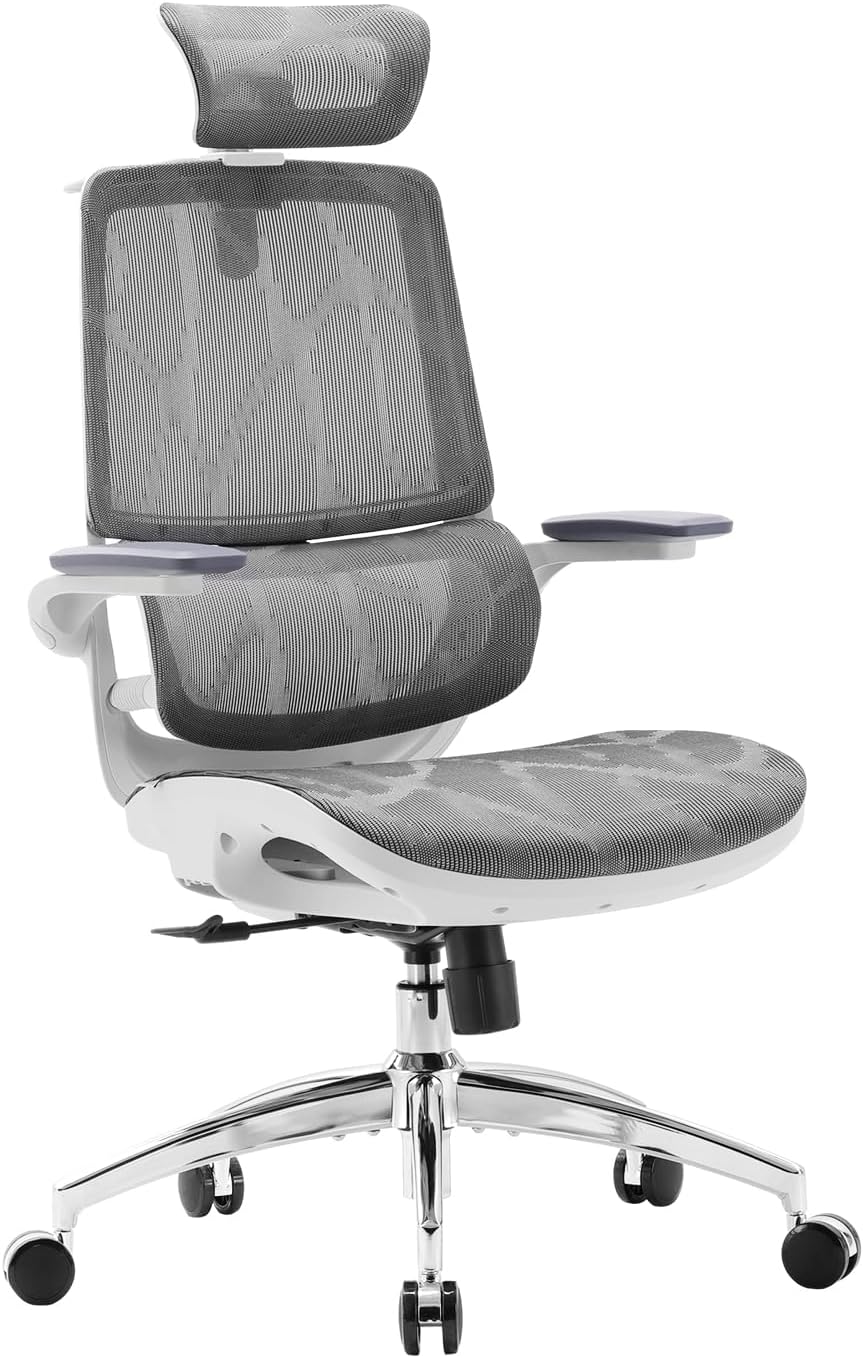 SIHOO Ergonomic Office Chair: Dynamic Lumbar Support