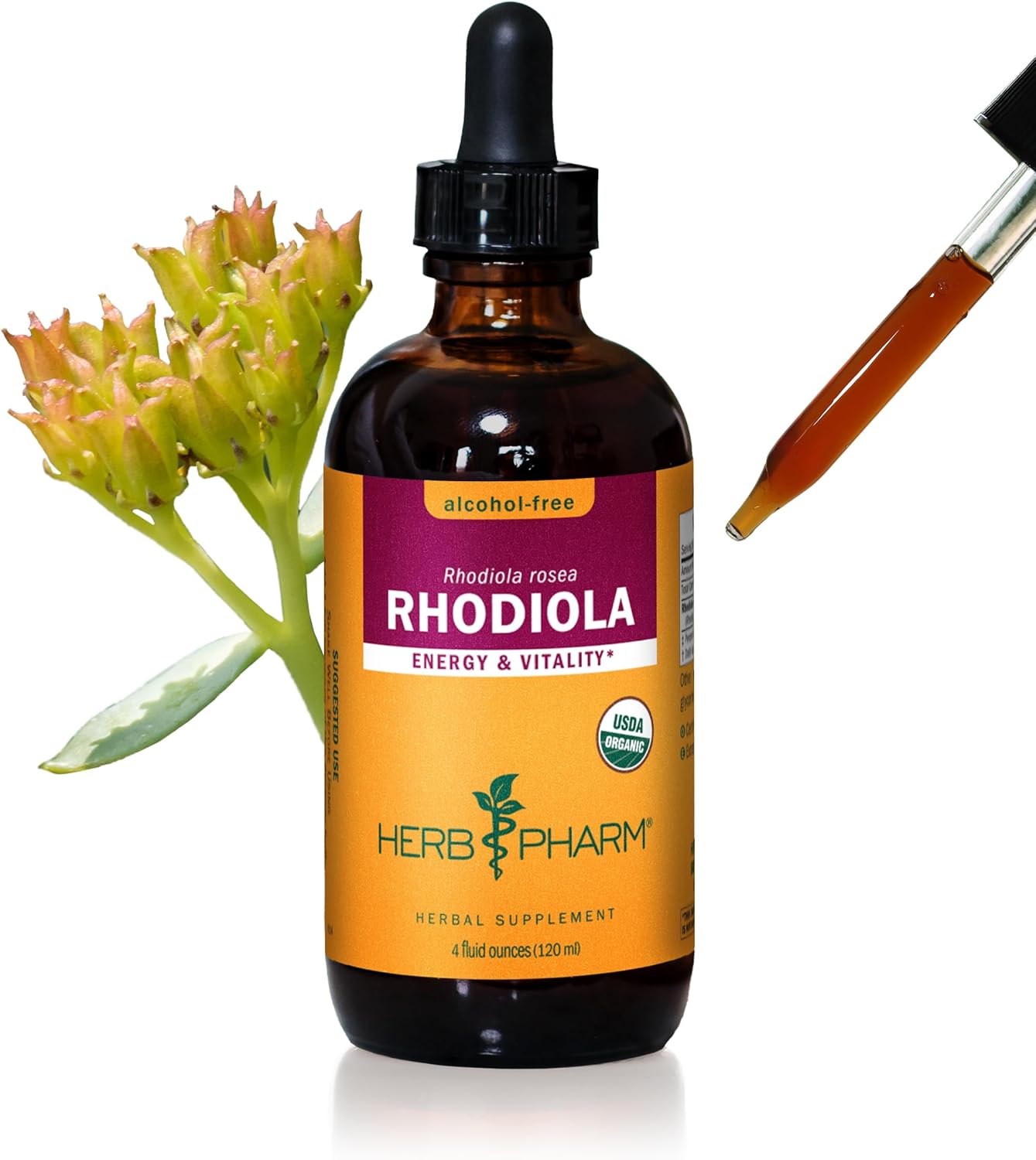Rhodiola Root Extract for Energy, Endurance and Stamina Boost