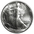 1991 American Silver Eagle 1 oz Brilliant Uncirculated - Collector