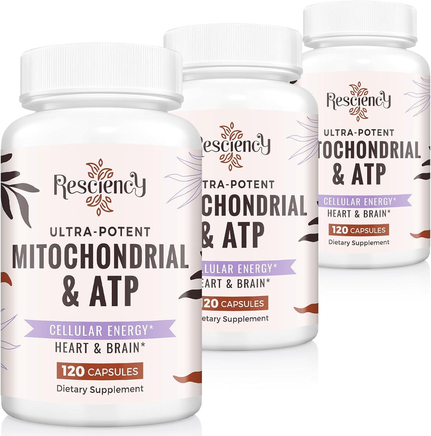 2326 MG Mitochondrial Supplements for Energy and Recovery