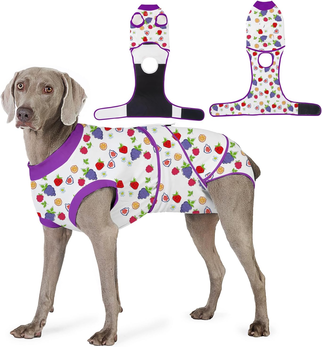 Recovery Suit for Dogs After Surgery, Comfortable Onesie for Healing