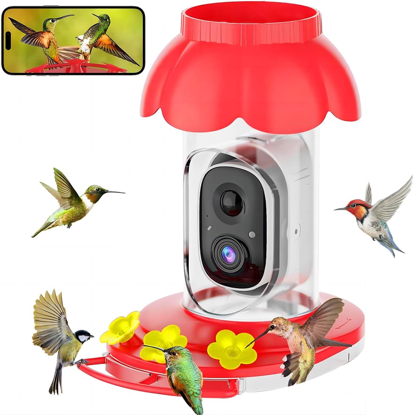 Hummingbird Feeder with Camera for Bird Watching Enthusiasts