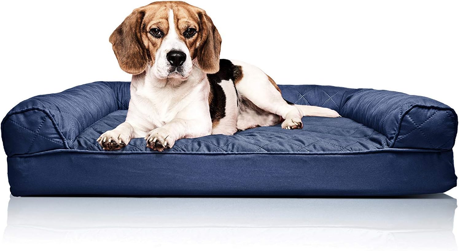 Furhaven Orthopedic Dog Bed for Small to Medium Dogs Comfort