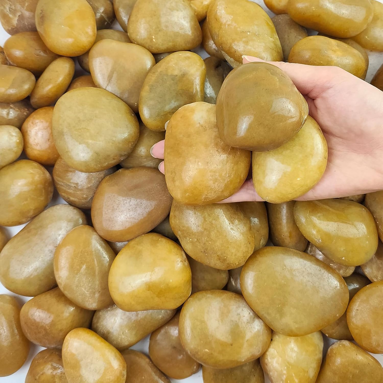 40 lbs Yellow River Rocks for Landscaping and Indoor Plants