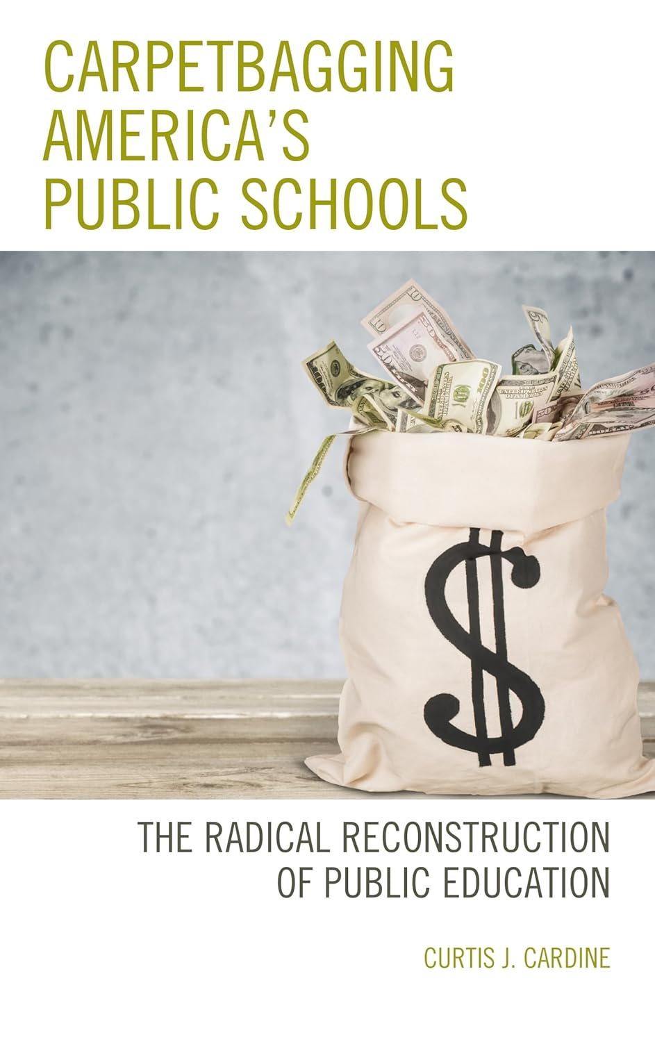 Carpetbagging America's Public Schools: A Critical Examination