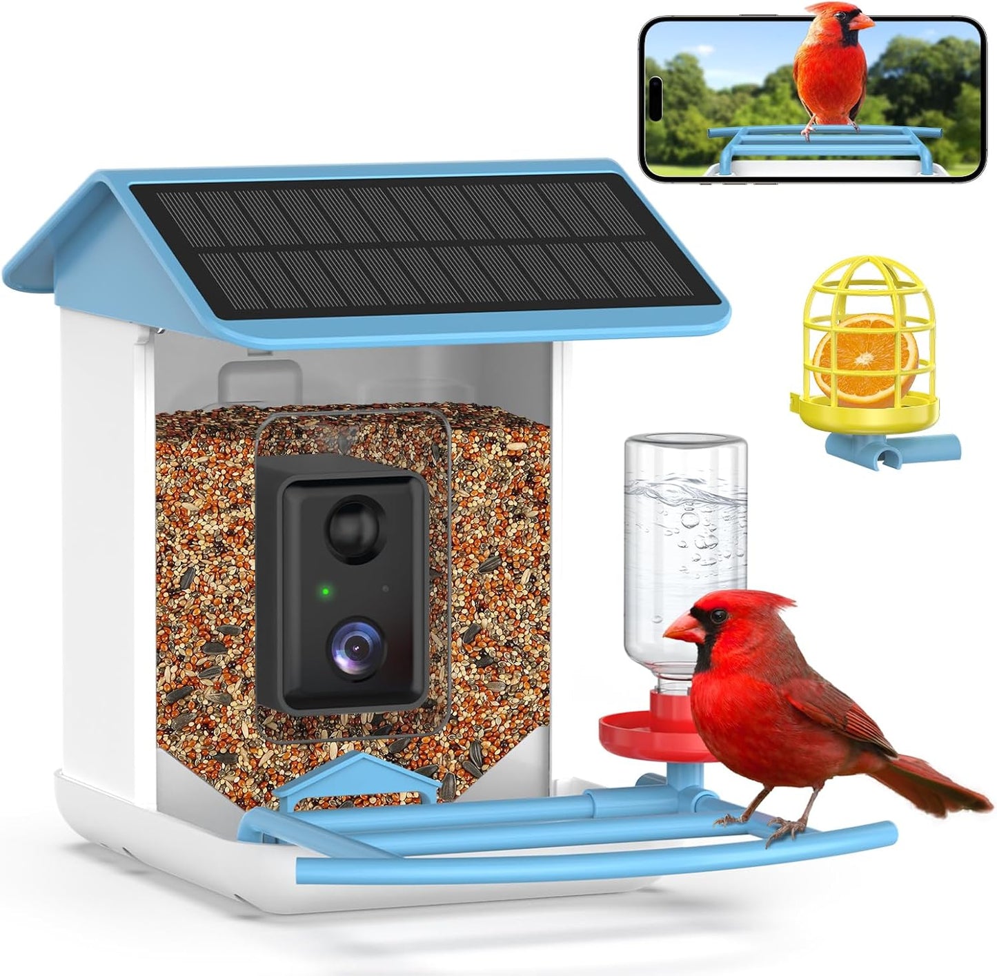 Smart Bird Feeder with Camera and AI for 11000+ Species