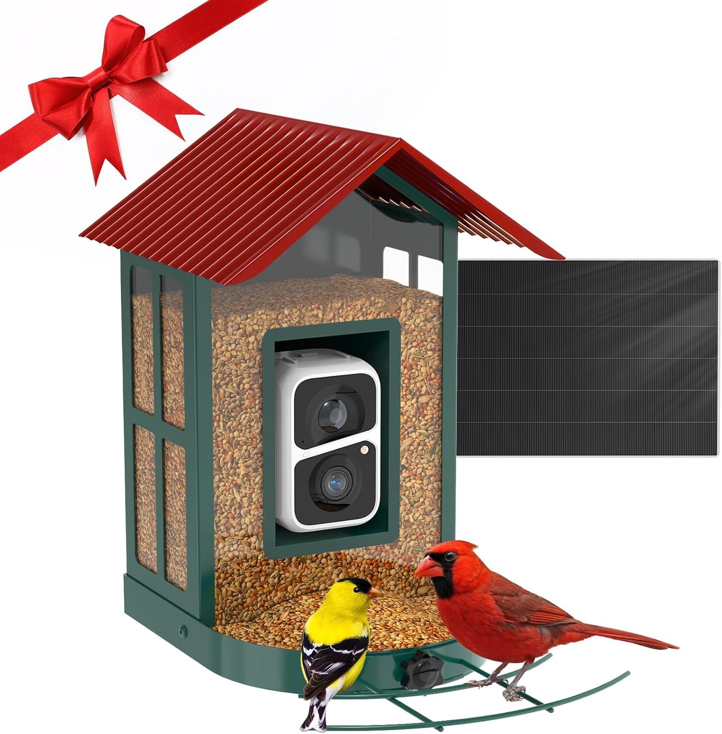 Soliom Bird Feeder Camera: AI Bird Species Identify