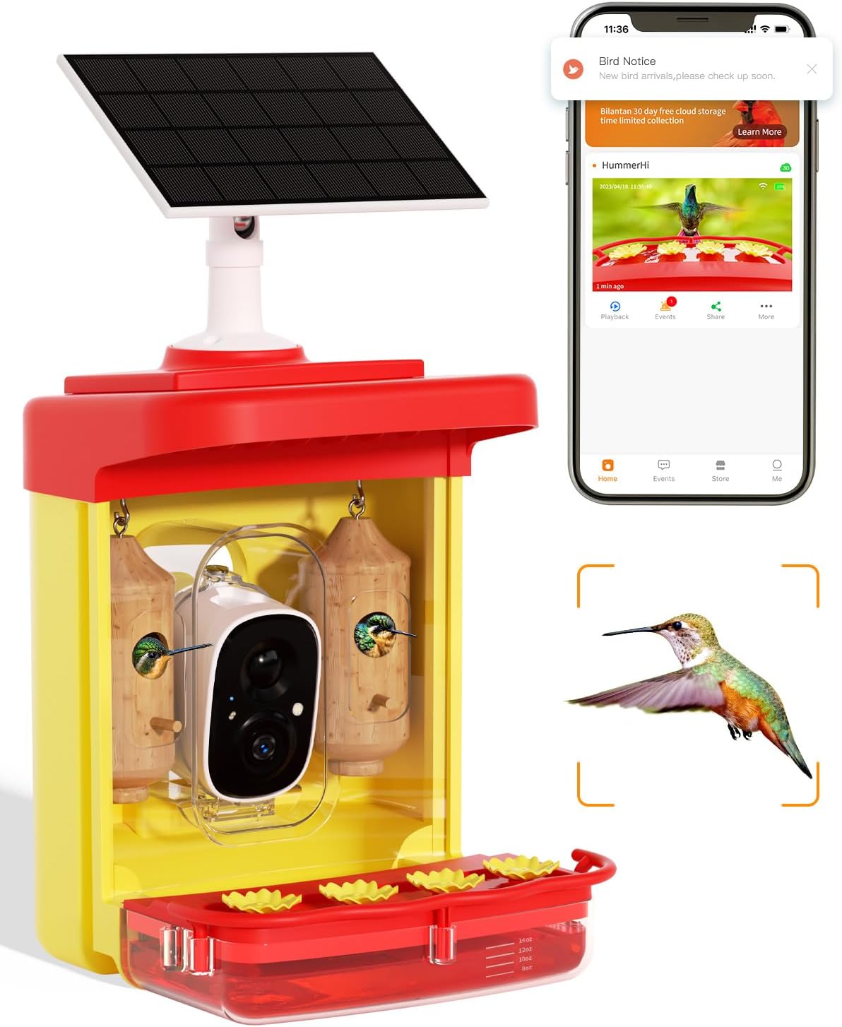 Bilantan Smart Hummingbird Feeder - Lifetime AI Cam, Solar & WiFi, 2.5K Live