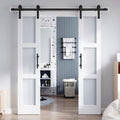 Double 1884 Inch Glass Barn Door Slab with Hardware Kit Included