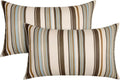 12x20 Waterproof Outdoor Lumbar Pillows Pack of 2 - Stripe Onyx