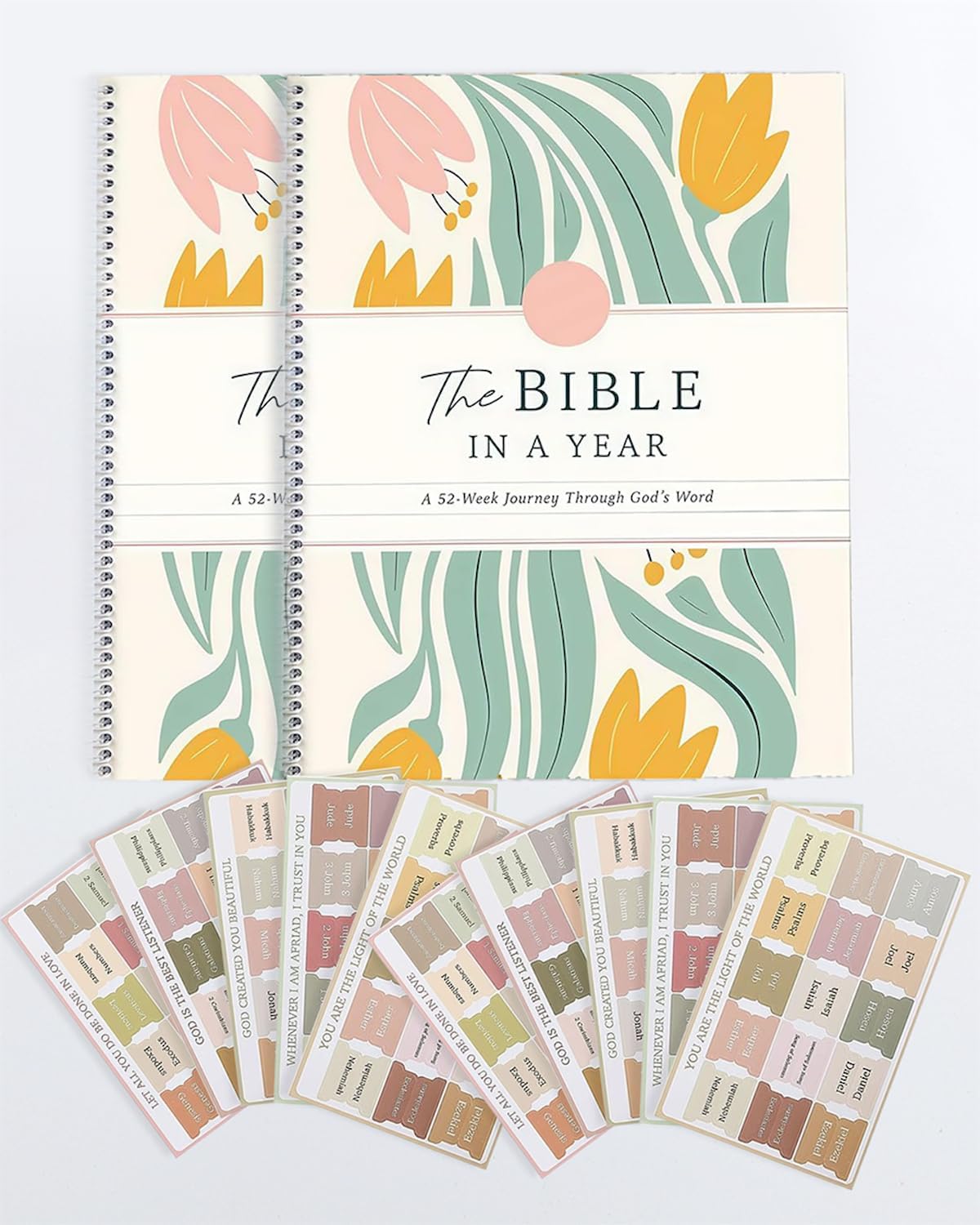 52-Week Bible Study Guide for Women: A Year in the Word