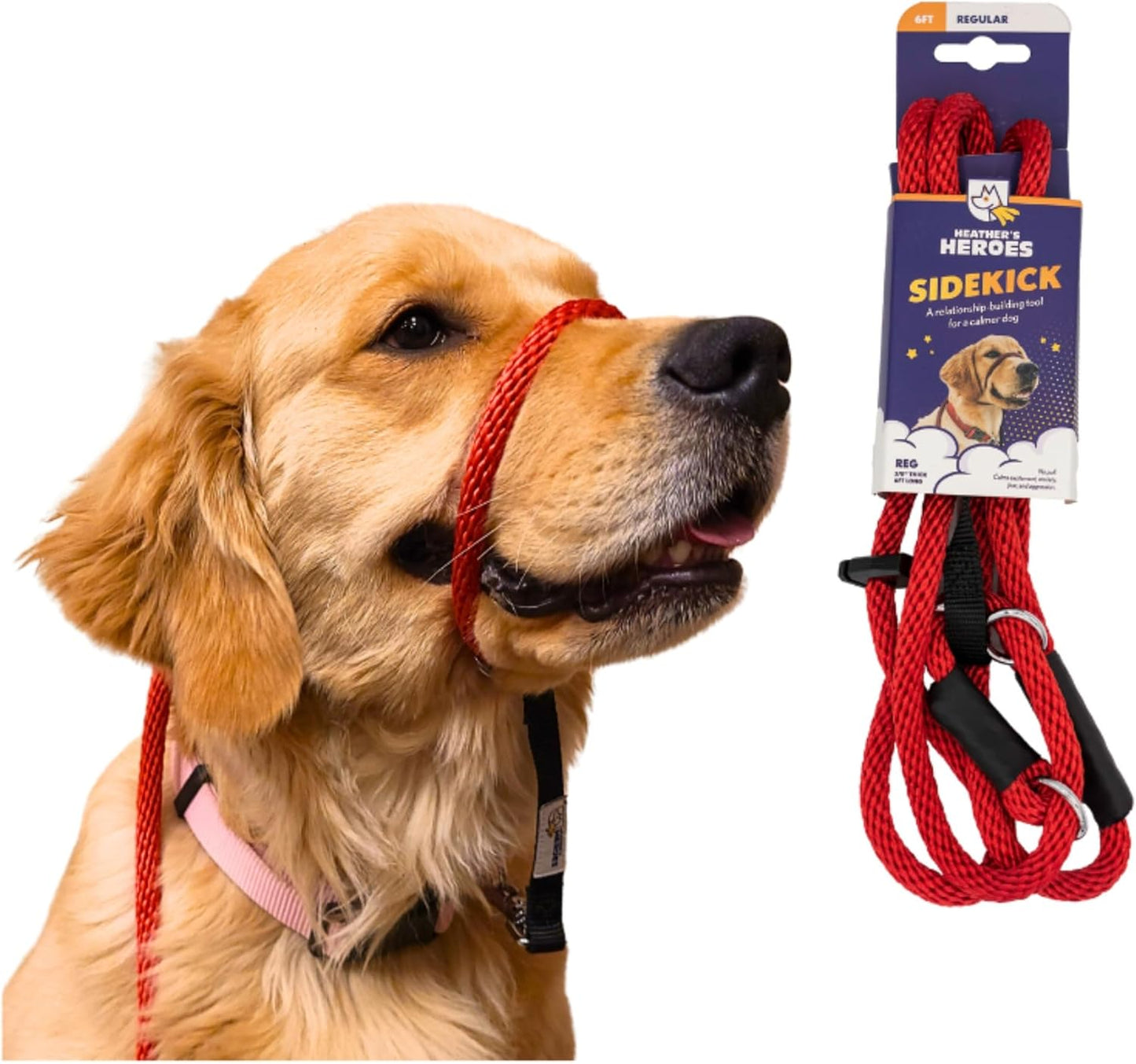 Sidekick Dog Headcollar with Leash for Effective Training