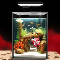 Glass Betta Aquarium Starter Kit 1.5 Gallon - Compact Nano Tank