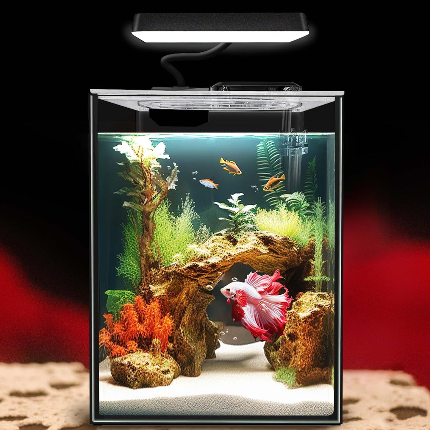 1.5 Gallon Glass Betta Aquarium Starter Kit with LED Light