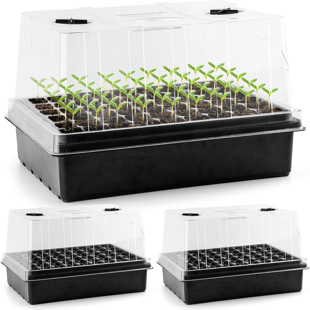 Heavy Duty Seed Starter Trays with Tall Humidity Domes for Growth