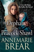 The Orphan in the Peacock Shawl - Gripping Historical Novel (2022)