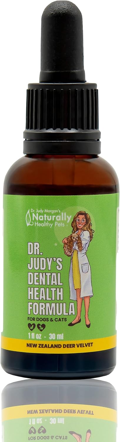 Dr. Judy Morgan's Dental Health Formula for Dogs & Cats - 1 fl oz